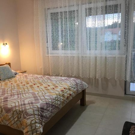 Apartment Vistanova Vrdnik Ngoại thất bức ảnh