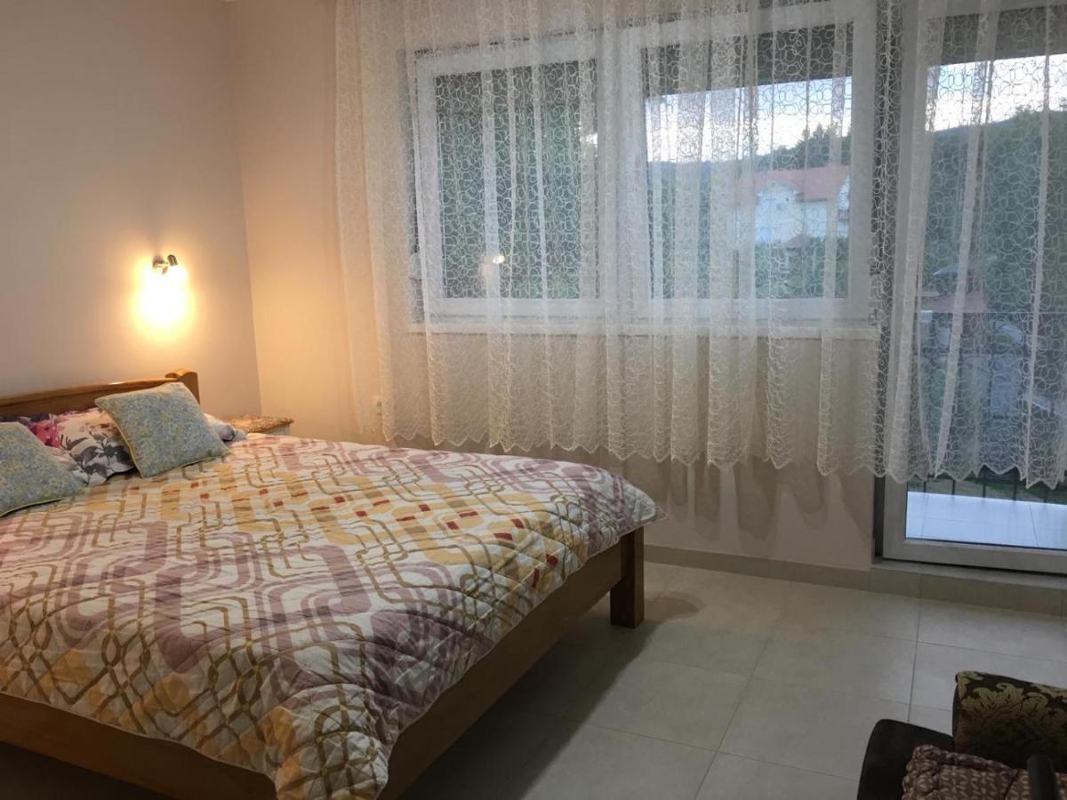 Apartment Vistanova Vrdnik Ngoại thất bức ảnh
